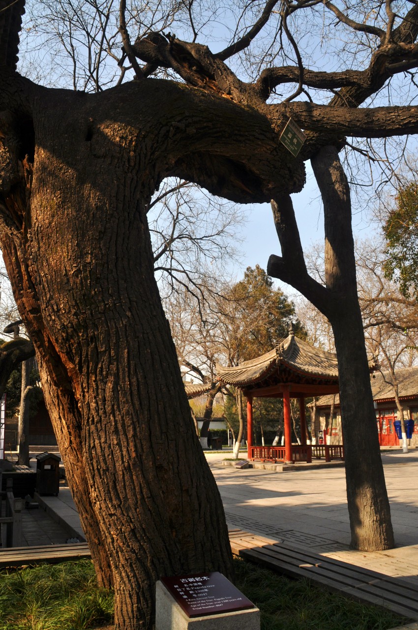 DSC_0041_conew1.jpg