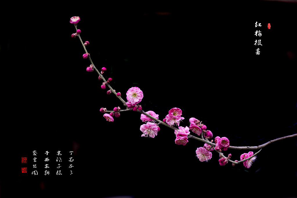LIU_9114副本副本.jpg