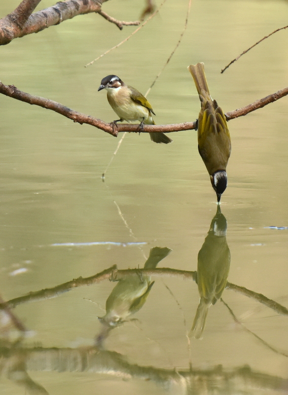 DSC_6346.JPG