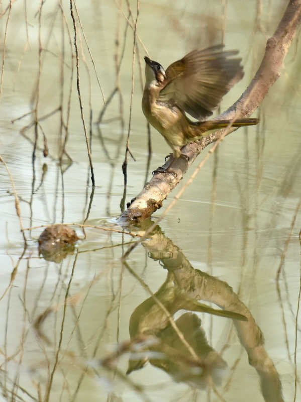 DSC_6366.JPG