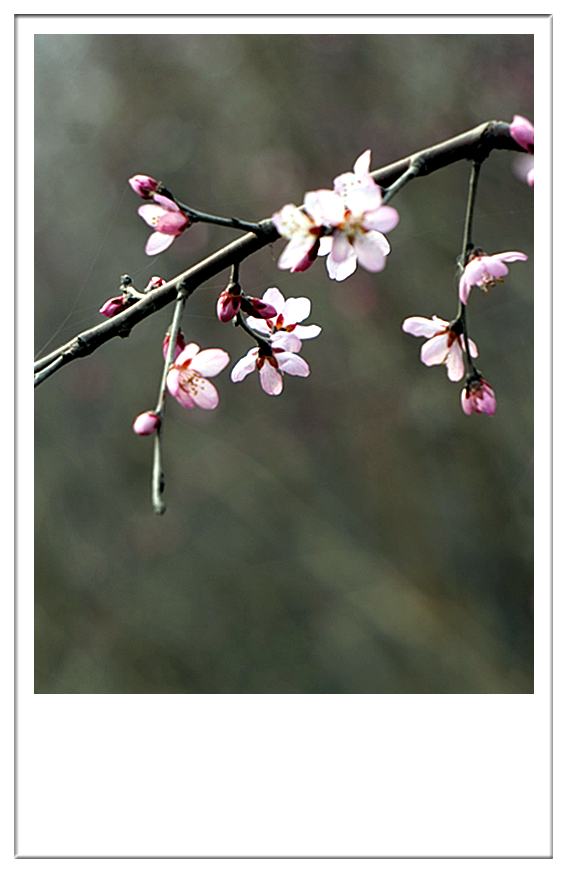 DSC09717_副本.jpg