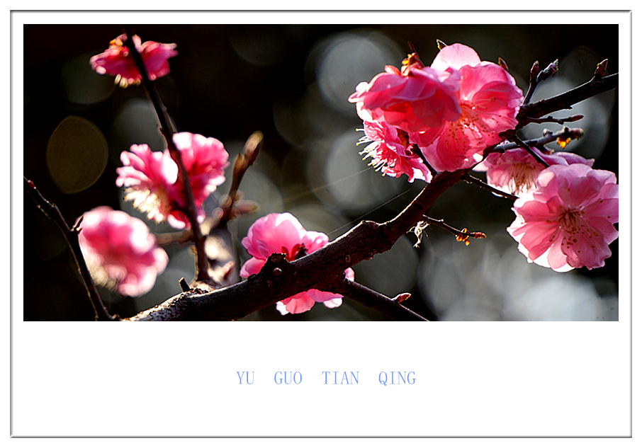 DSC09833_副本.jpg