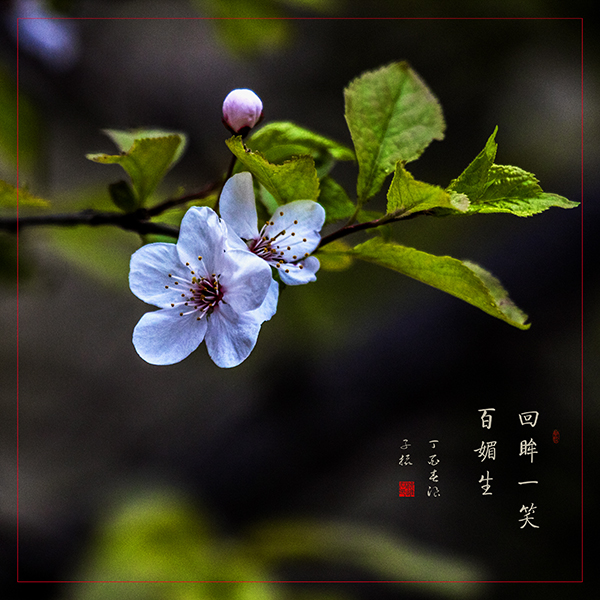 LIU_9358副本副本.jpg
