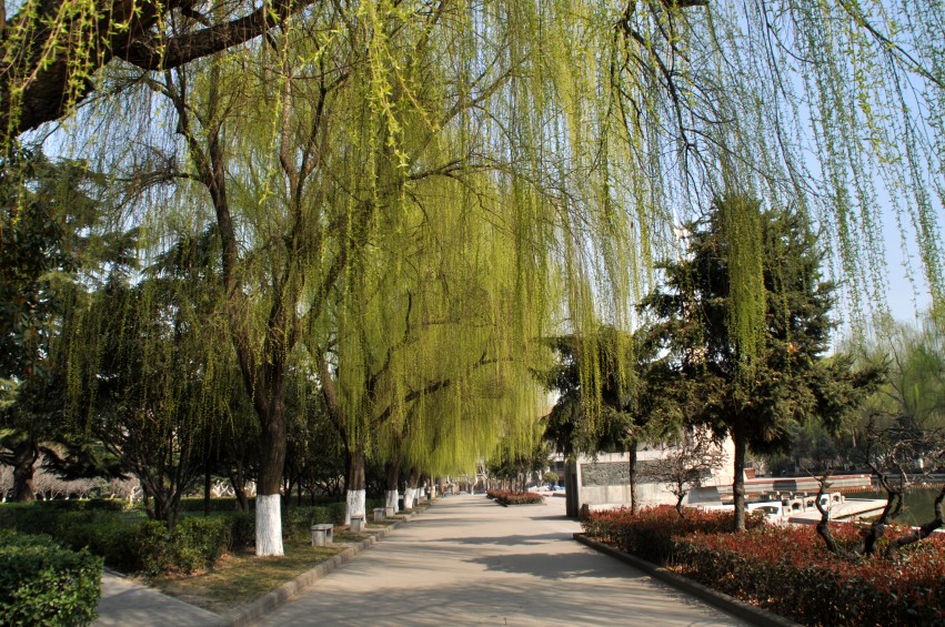 DSC_0113_conew1.jpg
