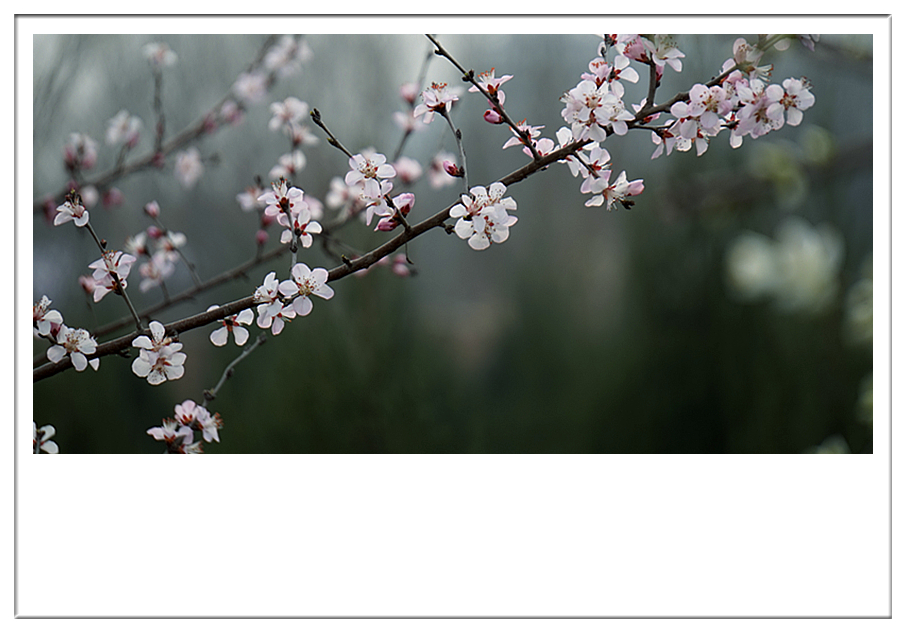 DSC09748_副本.jpg