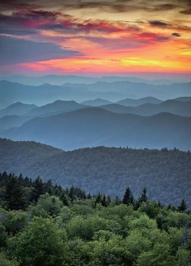 676e7da359bb1556cbe0a539f9621dd4.jpg