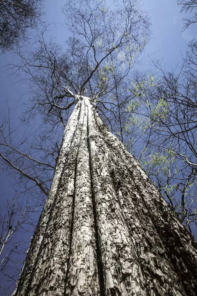 a7f270b164b36187fd16ac4284256627.jpg a7f270b164b36187fd16ac4284256627.jpg