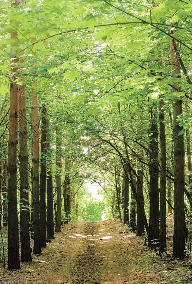 95cef0fdaa8f5a7084d007433ad1b431.jpg 95cef0fdaa8f5a7084d007433ad1b431.jpg