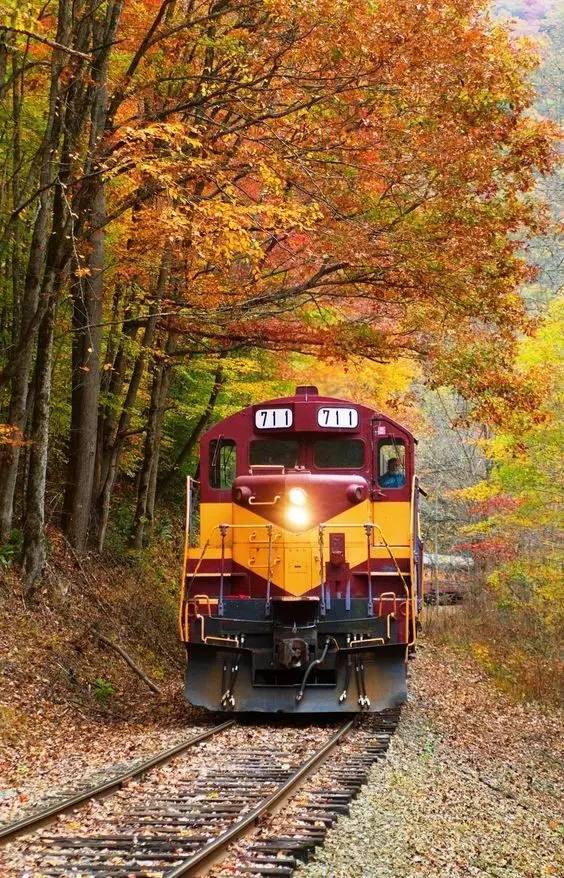 2da1b59b0eb92323212447d9a40a766f.jpg