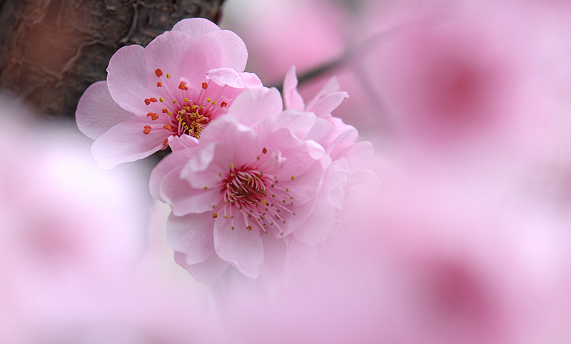 DSC_0377_副本.jpg