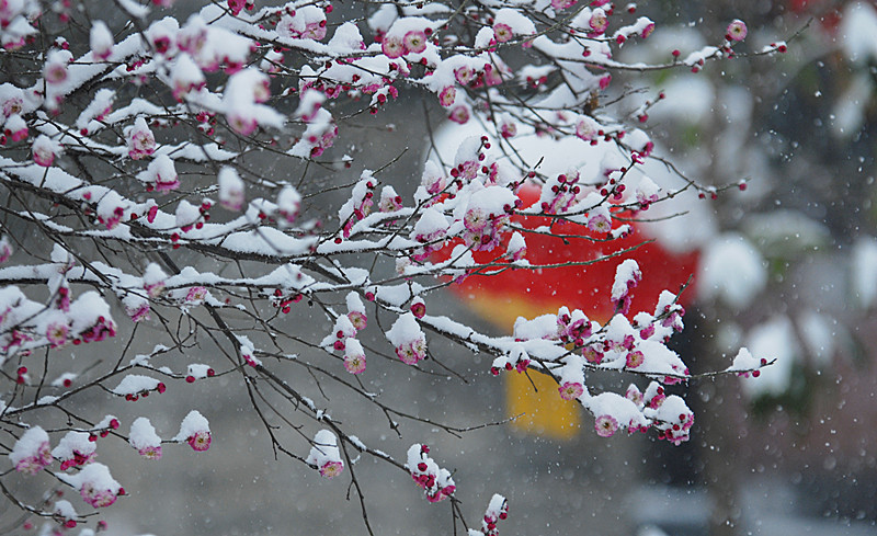 DSC_0587_副本.jpg