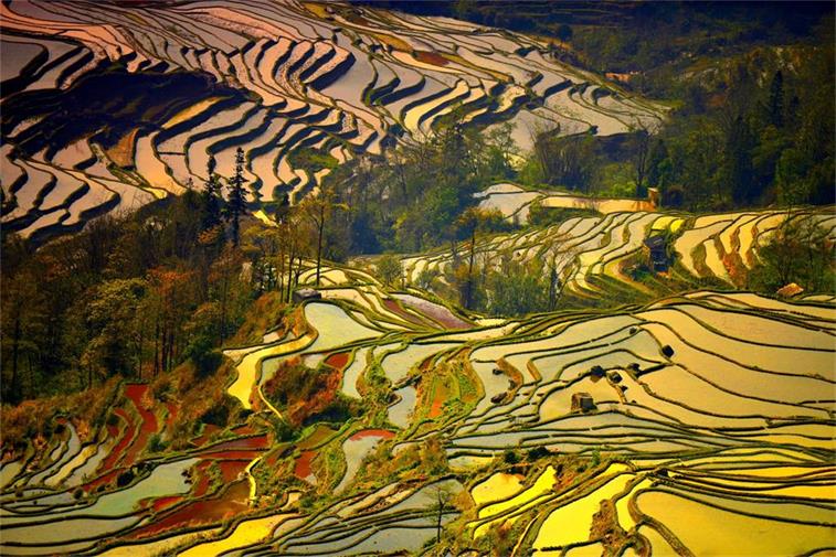 090_看图王 (2).jpg