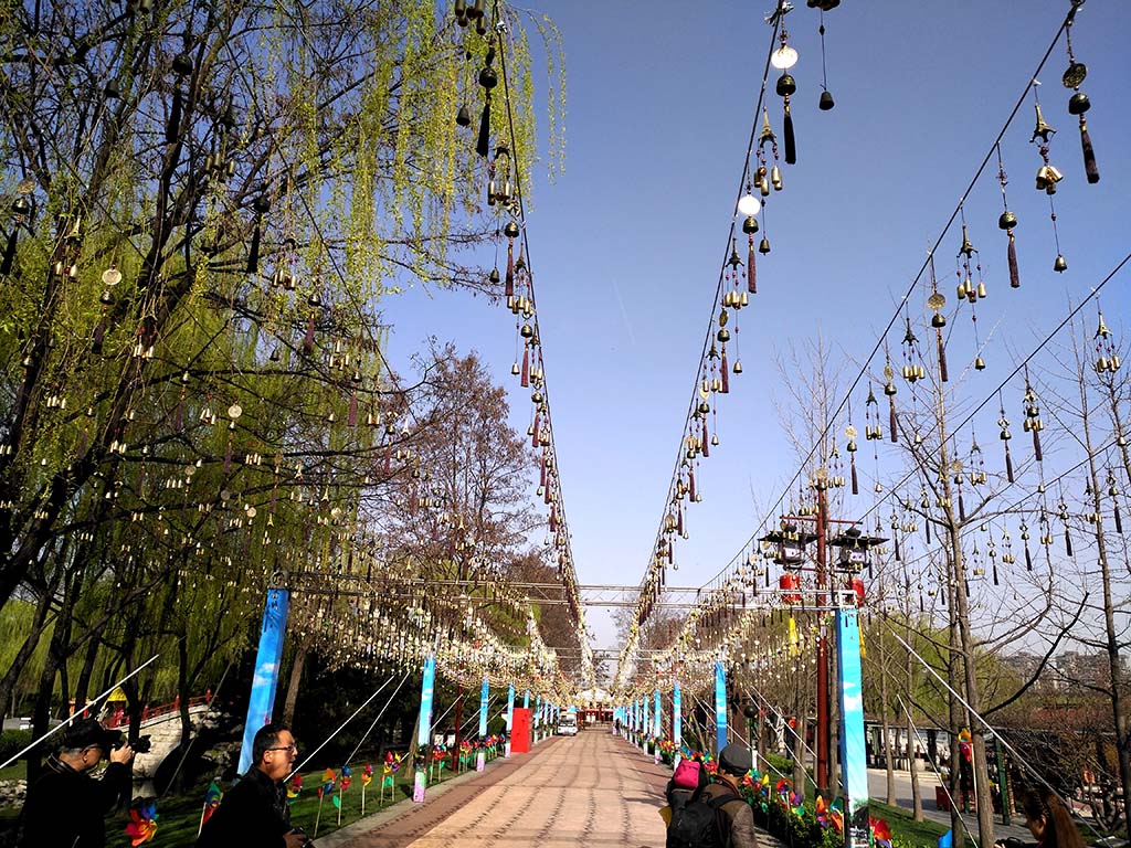 IMG_20170325_092551副本.jpg