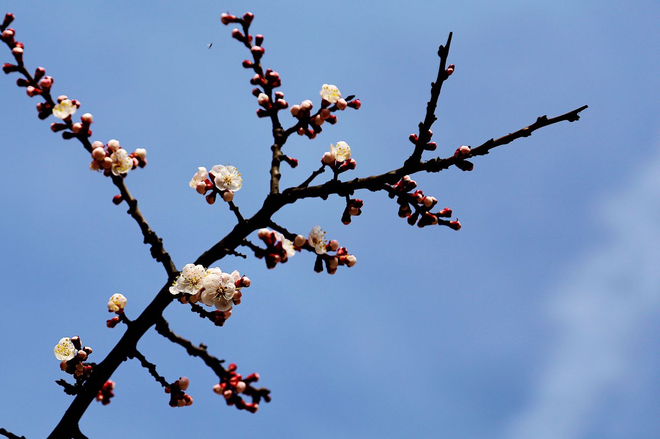 IMG_1281_副本.jpg