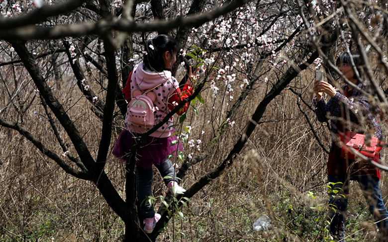DSC00218_副本.jpg