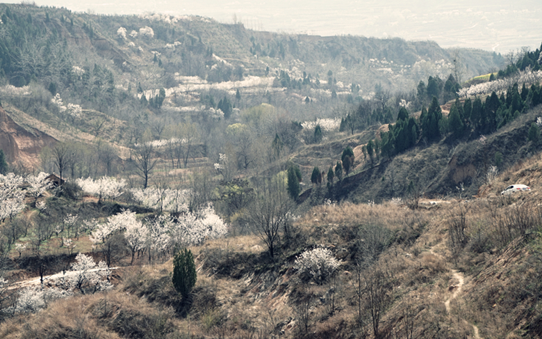 DSC00278_副本.jpg