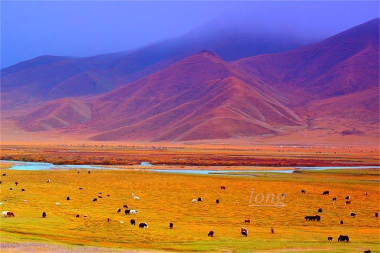 DSC_7686_看图王.jpg