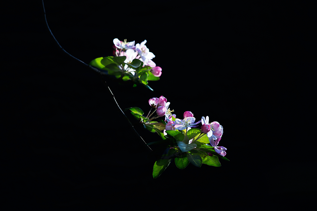 IMG_1257-1_副本_副本_副本.jpg