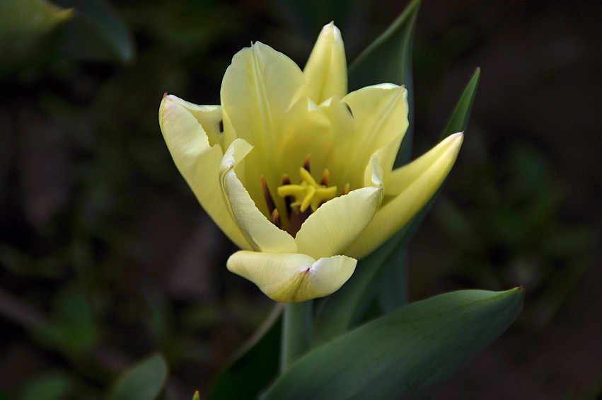 DSC_0028_conew1.jpg