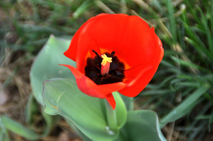 DSC_0014_conew1.jpg