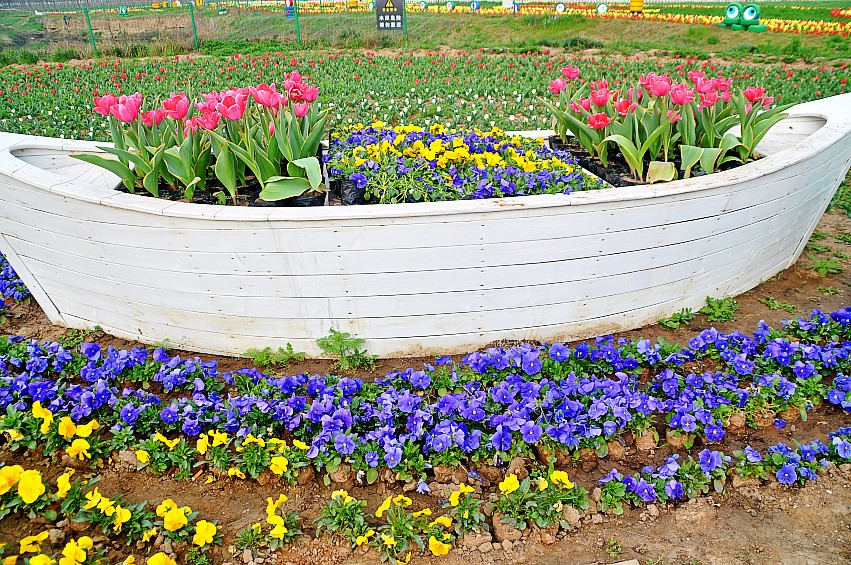 DSC_0037_conew1.jpg
