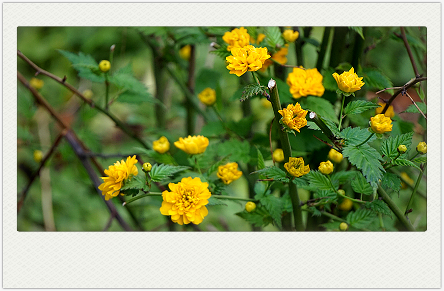 DSC00670_副本.jpg