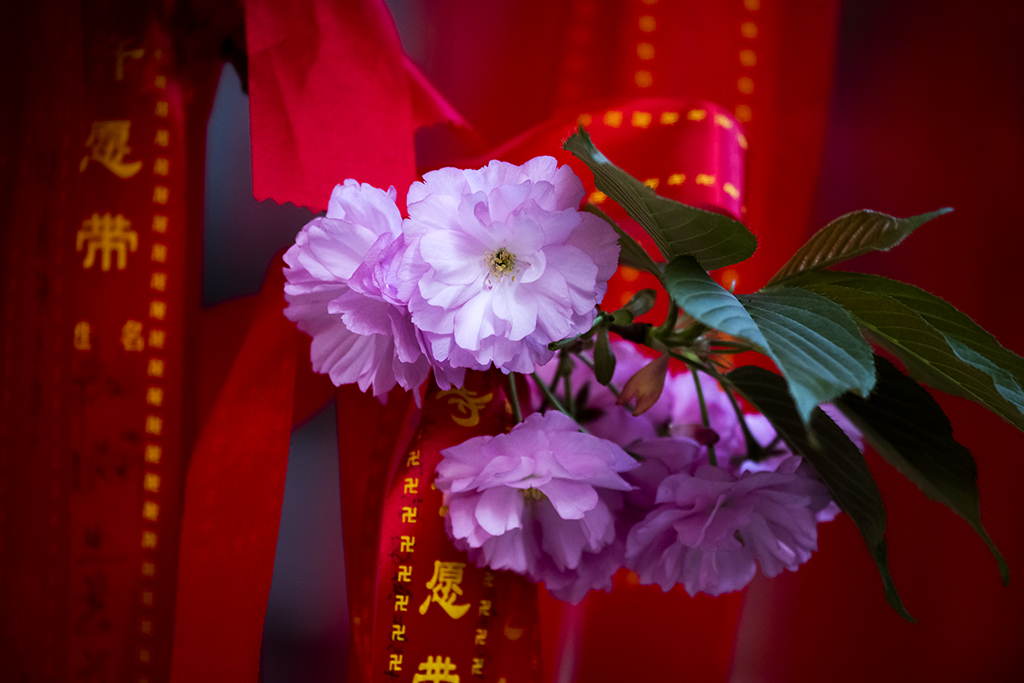 LIU_0629副本2.jpg