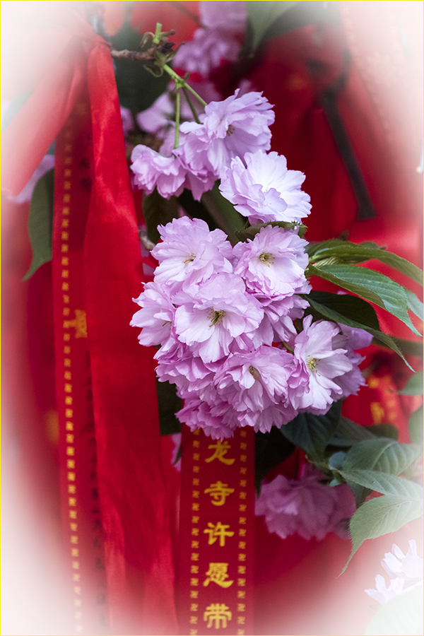 LIU_0631副本2.jpg
