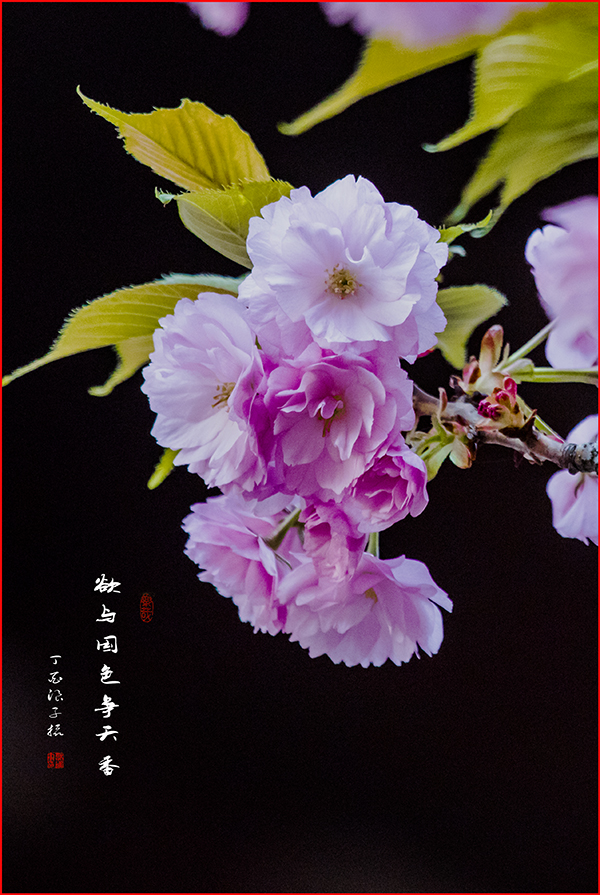 LIU_0657副本2.jpg