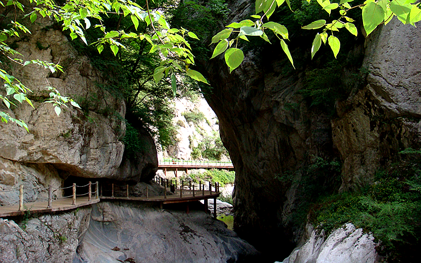 DSC00106_副本.jpg