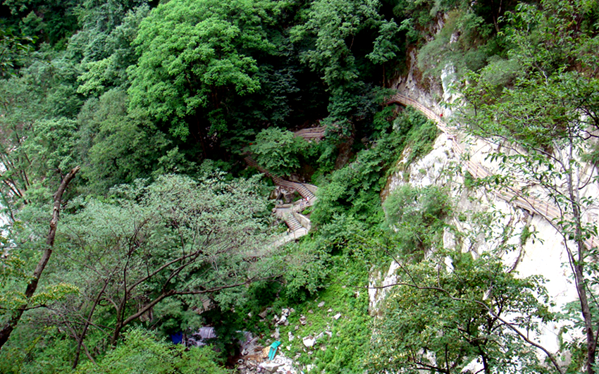 DSC00152_副本.jpg