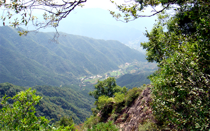 DSC00235_副本.jpg