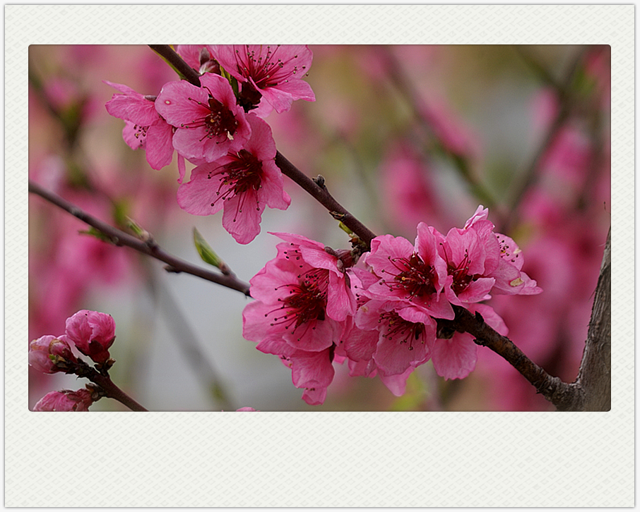 DSC00615_副本.jpg