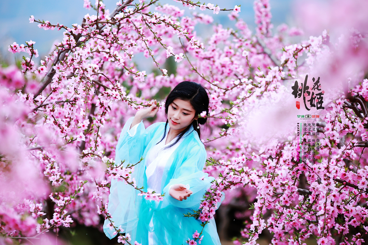 桃花姬19.jpg