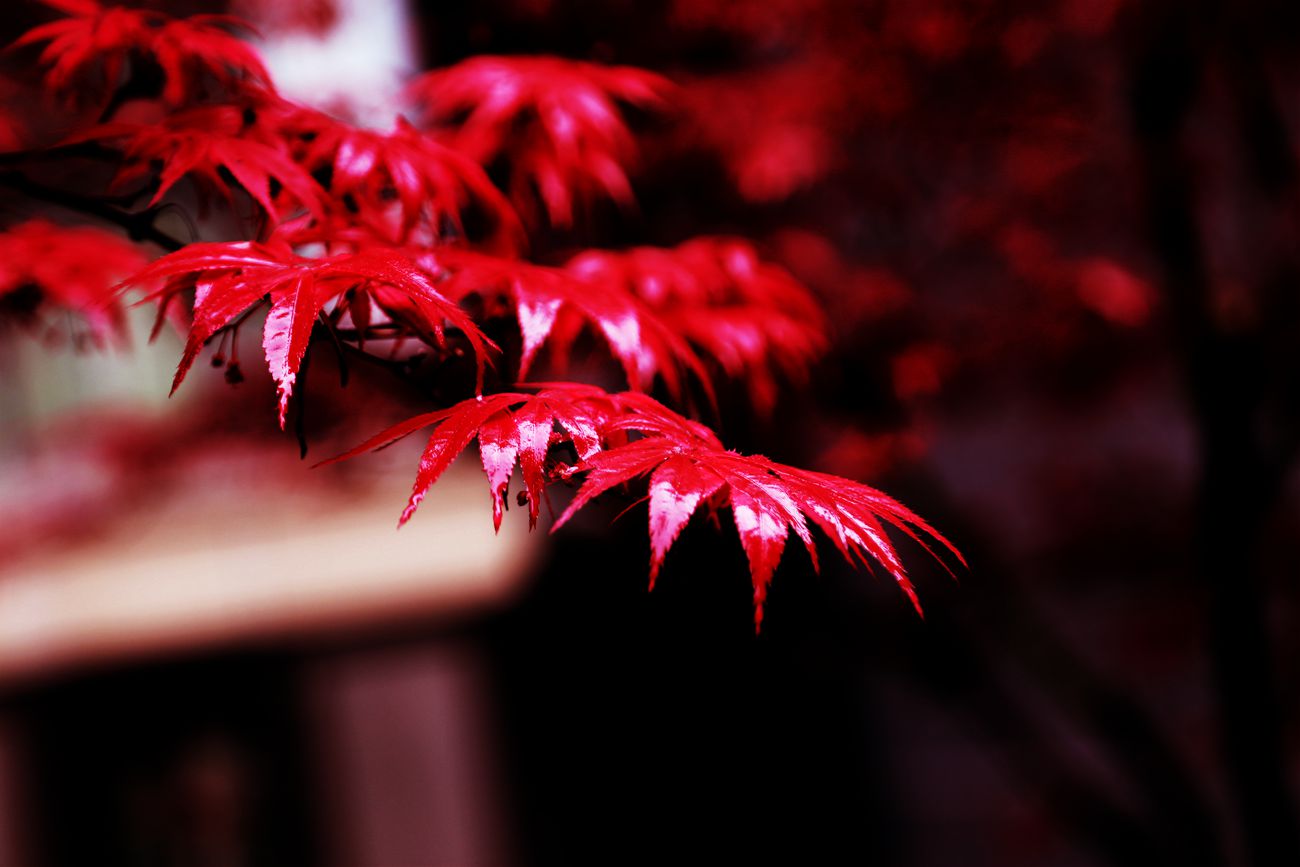 IMG_3943_副本.jpg