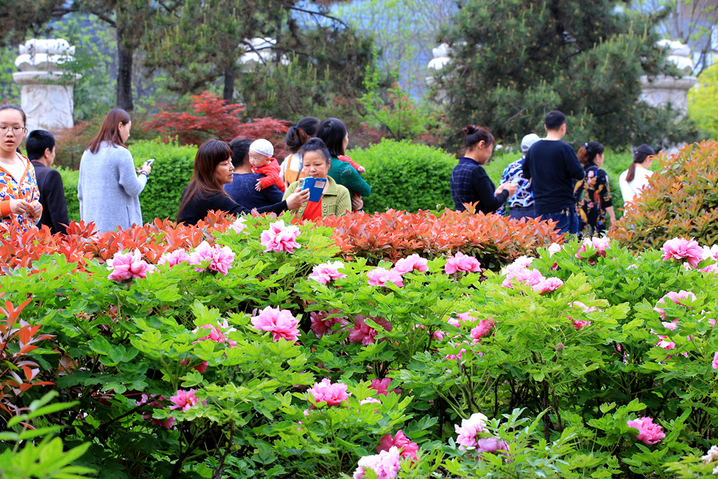 IMG_2569_副本_副本.jpg