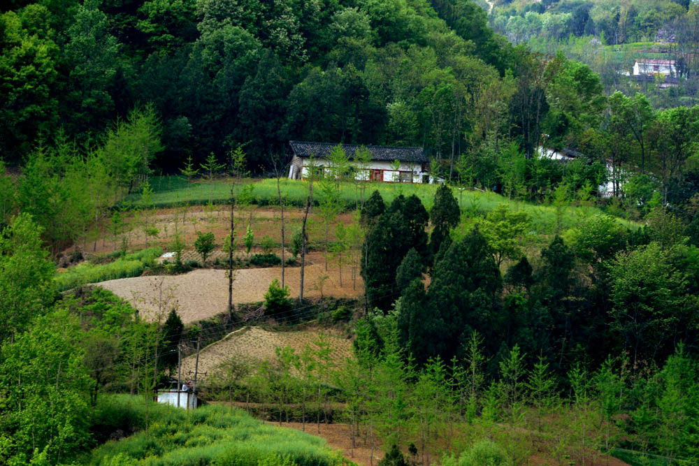 在路上 (25).jpg