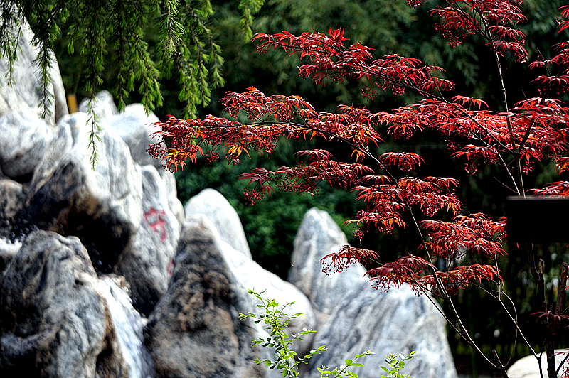 DSC00909_副本.jpg