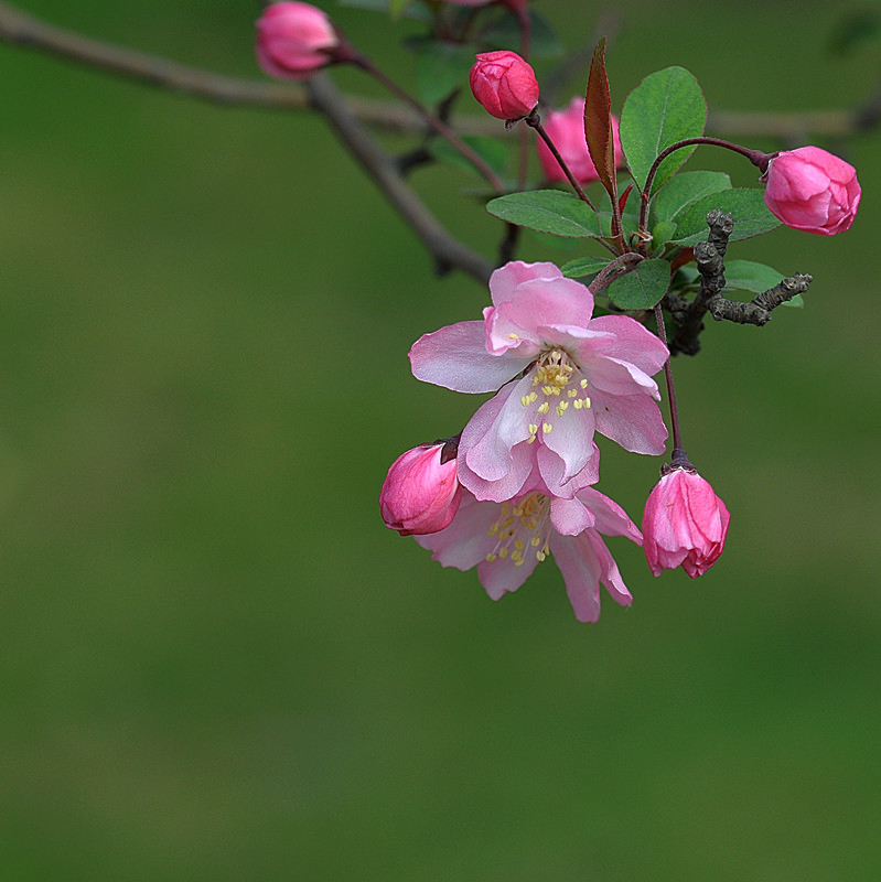 DSC_0067_副本.jpg