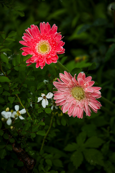 BQ5A2511副本-1.jpg