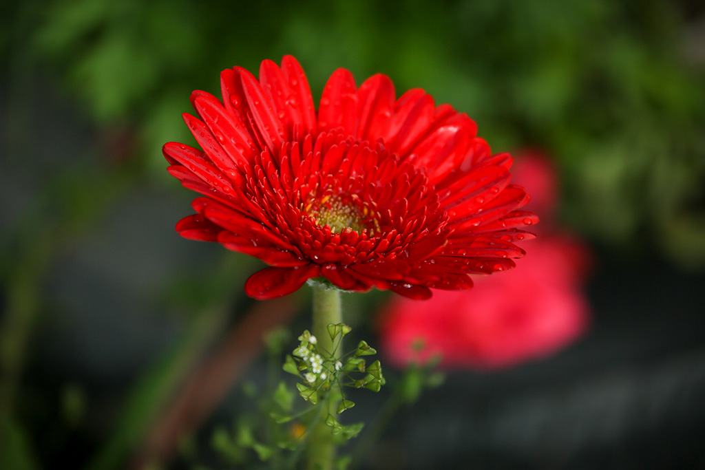 BQ5A2521副本-1.jpg