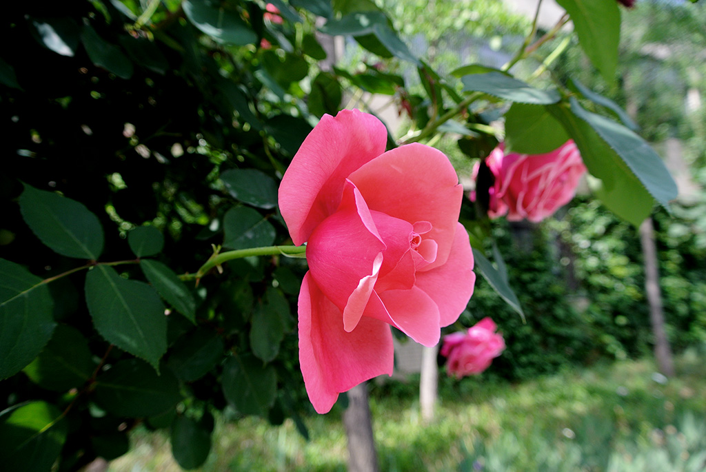 DSC_0704副本.jpg