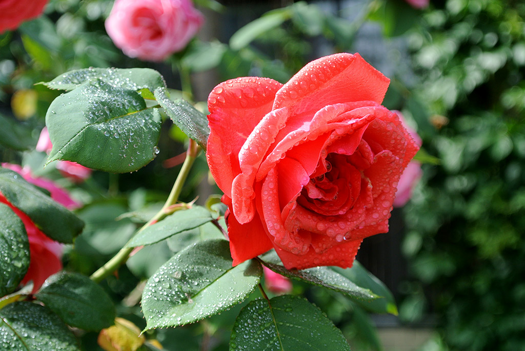 DSC_0714副本.jpg