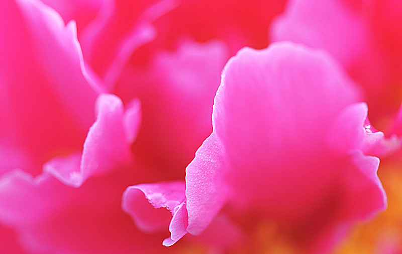DSC_0097_副本.jpg