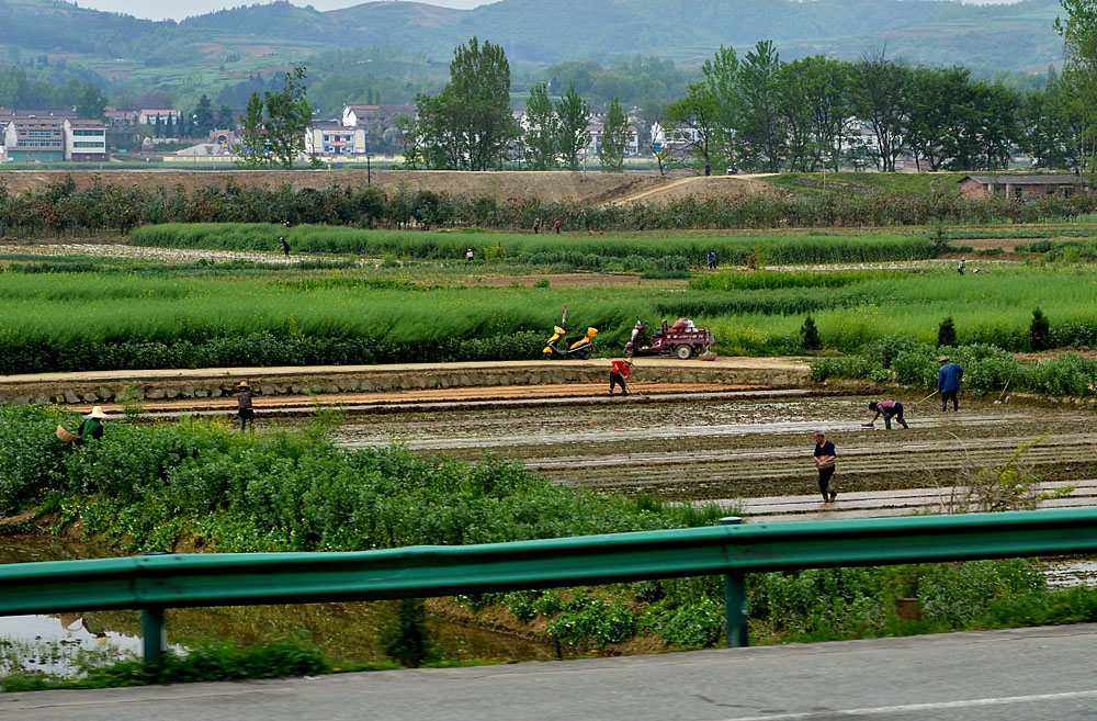 在路上之二 (1).jpg