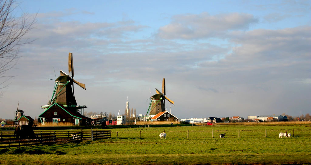 JPEG Digital Camera_2781.jpg