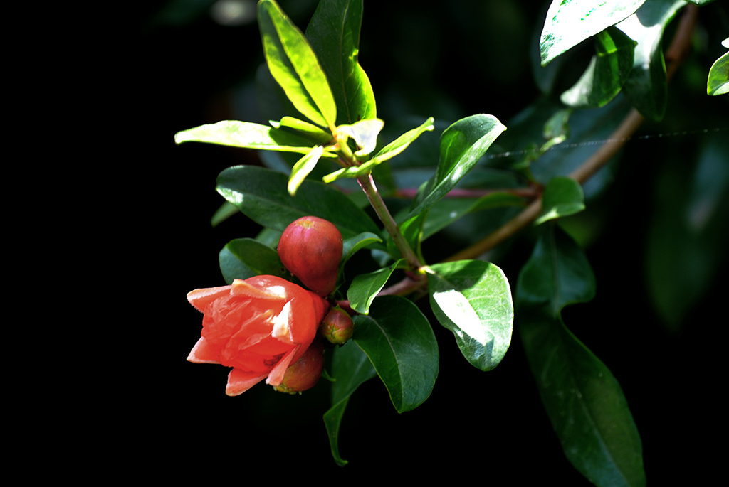DSC_0835副本.jpg