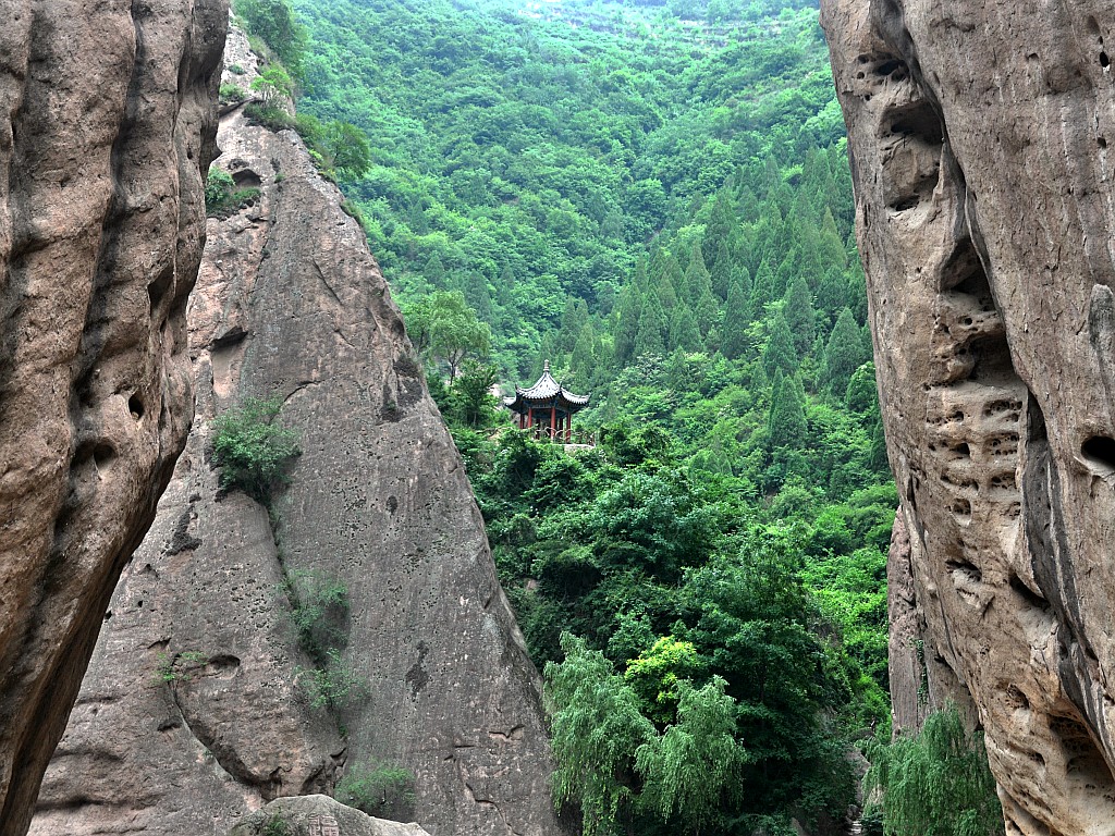 DSC_0039_conew1.jpg