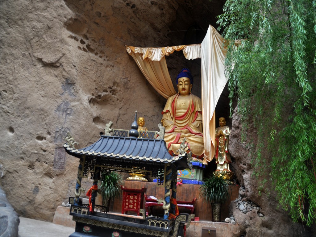 DSC_0042_conew1.jpg