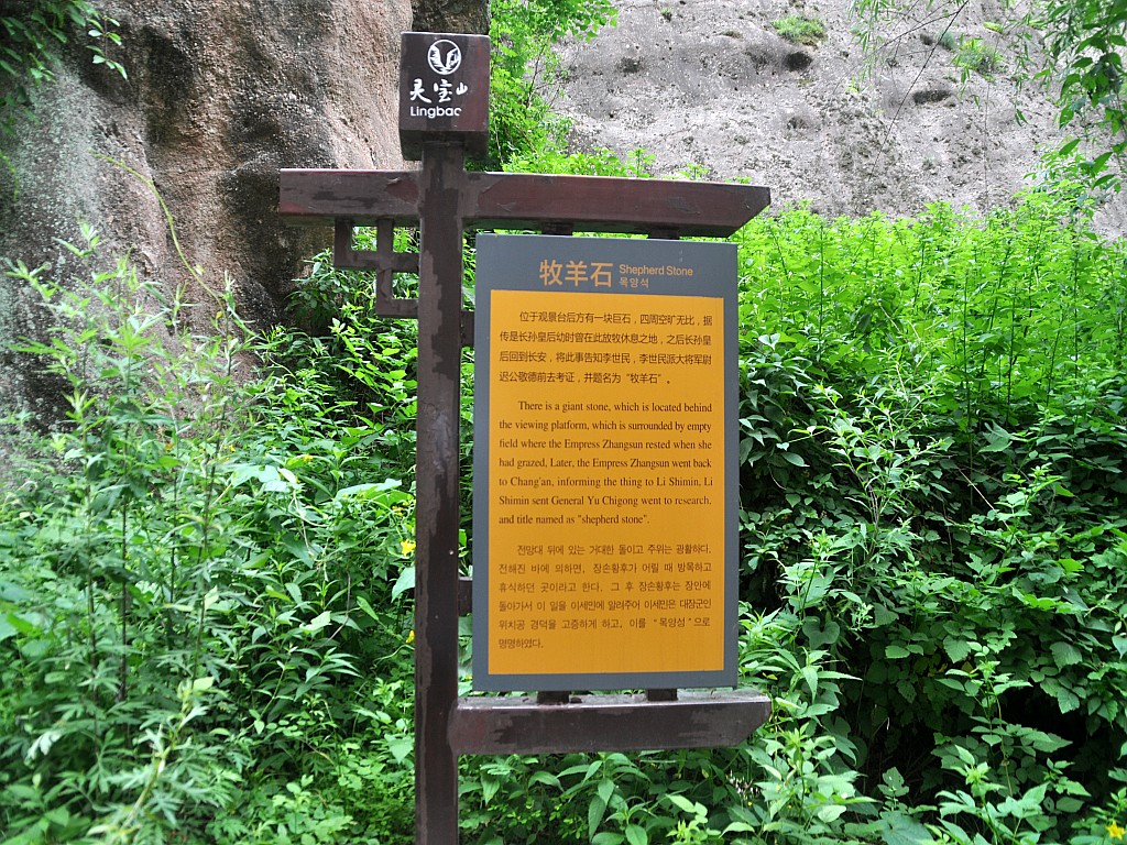 DSC_0046_conew1.jpg